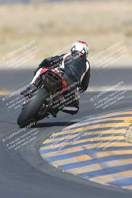 media/May-13-2023-SoCal Trackdays (Sat) [[8a473a8fd1]]/Turn 11 Backside (945am)/